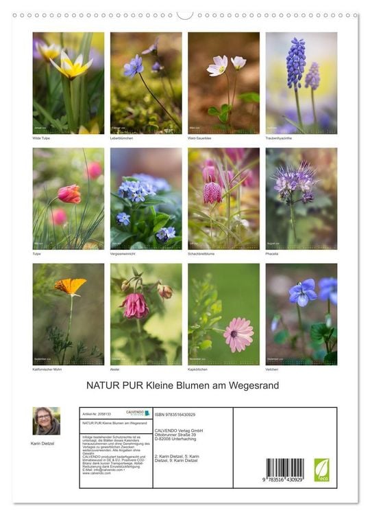 Produktbild: NATUR PUR Kleine Blumen am Wegesrand (hochwertiger Premium Wandkalender 2026 DIN A2 hoch), Kunstdruck in Hochglanz
