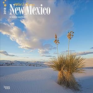 Produktbild: Cal 2018-New Mexico Wild & Sce