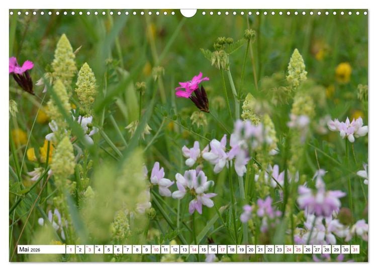 Produktbild: Zauberhaftes Mangfalltal (Wandkalender 2026 DIN A3 quer), CALVENDO Monatskalender