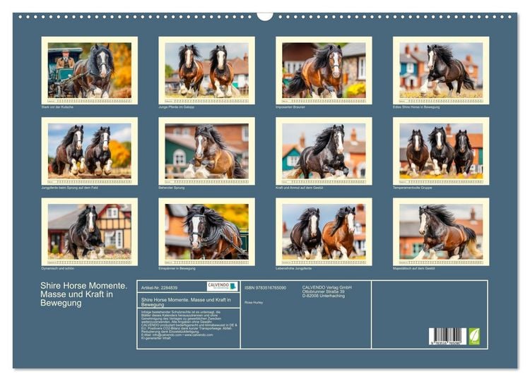 Produktbild: Shire Horse Momente. Masse und Kraft in Bewegung (Wandkalender 2027 DIN A2 quer), CALVENDO Monatskalender