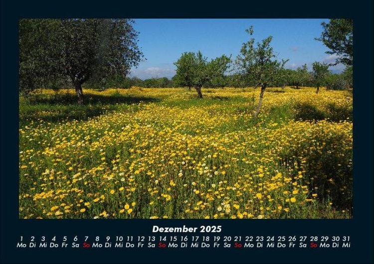 Produktbild: Blumenkalender 2025 Fotokalender DIN A4