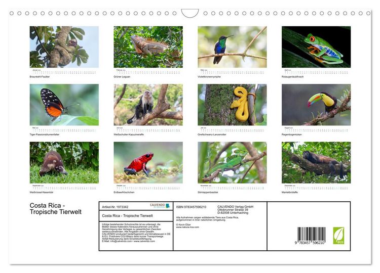 Produktbild: Costa Rica - Tropische Tierwelt (Wandkalender 2026 DIN A3 quer), CALVENDO Monatskalender