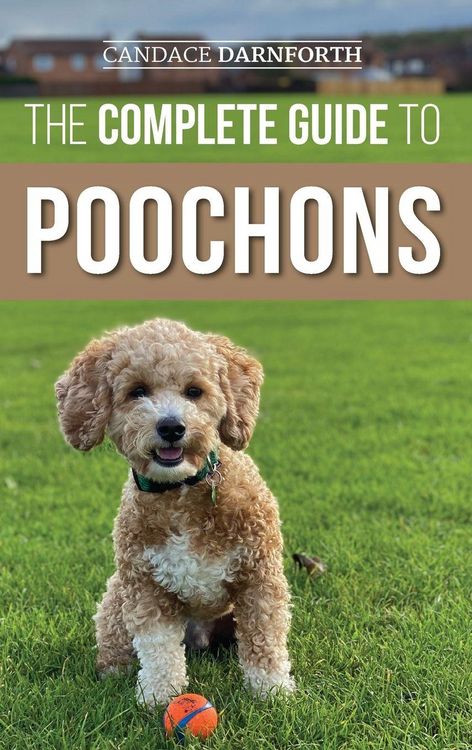 Produktbild: The Complete Guide to Poochons
