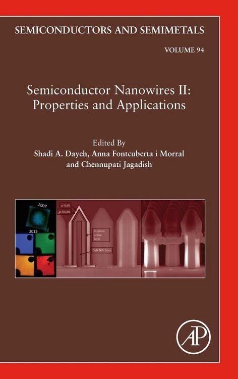 Produktbild: Semiconductor Nanowires II