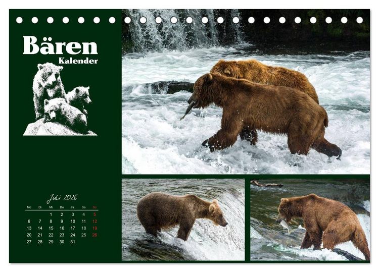 Produktbild: B&auml;renkalender (Tischkalender 2026 DIN A5 quer), CALVENDO Monatskalender