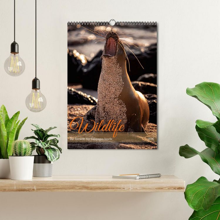 Produktbild: Wildlife - Die Tierwelt der Galapagos Inseln (Wandkalender 2026 DIN A3 hoch), CALVENDO Monatskalender