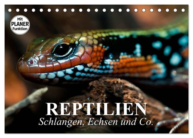 Produktbild: Reptilien. Schlangen, Echsen und Co. (Tischkalender 2026 DIN A5 quer), CALVENDO Monatskalender