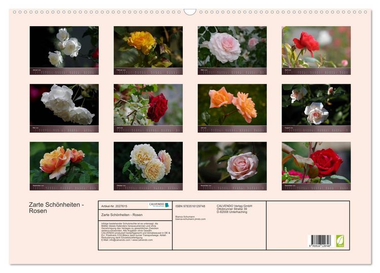 Produktbild: Zarte Sch&ouml;nheiten - Rosen (Wandkalender 2026 DIN A2 quer), CALVENDO Monatskalender