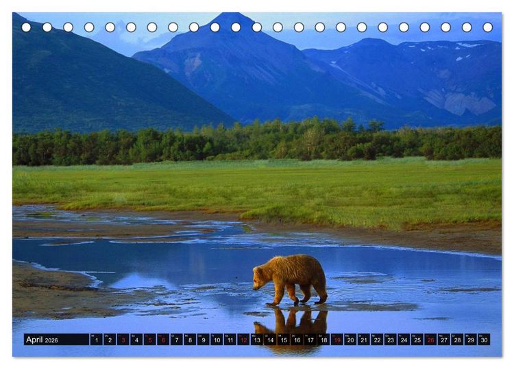 Produktbild: Alaska - Weites Land (Tischkalender 2026 DIN A5 quer), CALVENDO Monatskalender