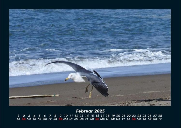 Produktbild: Meereslandschaft 2025 Fotokalender DIN A4