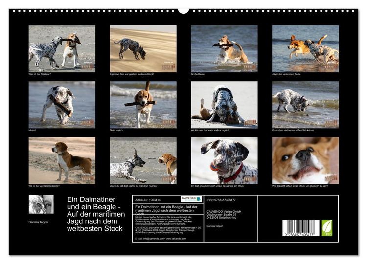 Produktbild: Ein Dalmatiner und ein Beagle - Auf der maritimen Jagd nach dem weltbesten Stock (hochwertiger Premium Wandkalender 2026 DIN A2 quer), Kunstdruck in Hochglanz