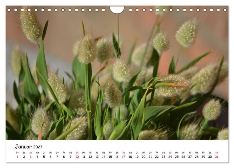 Produktbild: Mein Garten Eine Leidenschaft (Wandkalender 2027 DIN A4 quer), CALVENDO Monatskalender