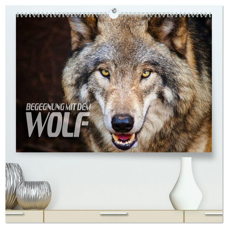 Produktbild: Begegnung mit dem Wolf (hochwertiger Premium Wandkalender 2026 DIN A2 quer), Kunstdruck in Hochglanz