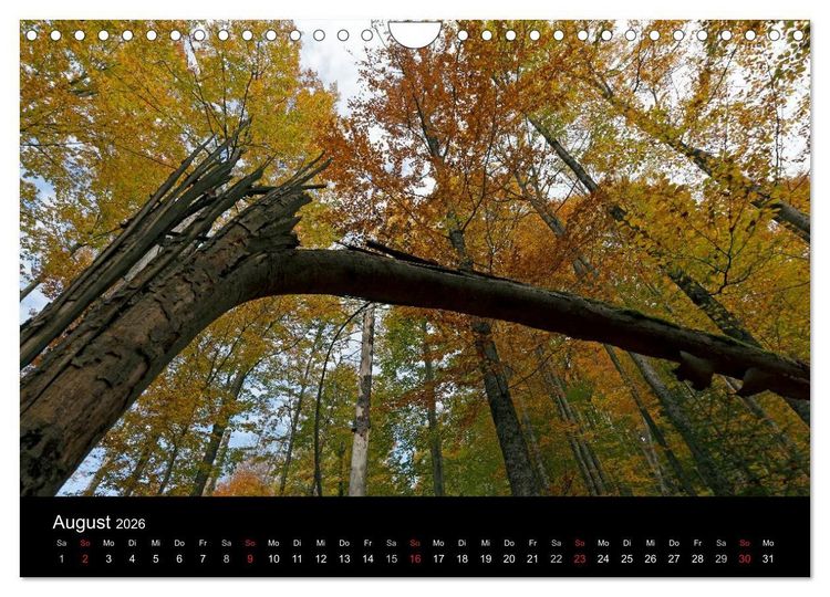 Produktbild: Herbst im Nationalpark Bayerischer Wald (Wandkalender 2026 DIN A4 quer), CALVENDO Monatskalender