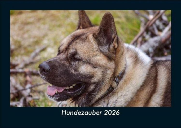 Produktbild: Hundezauber 2026 Fotokalender DIN A5