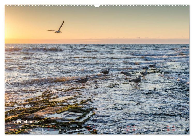 Produktbild: Flandern - Stadt und Strand (Wandkalender 2026 DIN A2 quer), CALVENDO Monatskalender