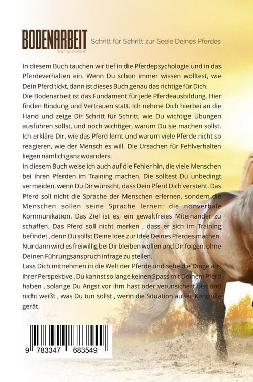 Produktbild: Bodenarbeit - Das Fundament