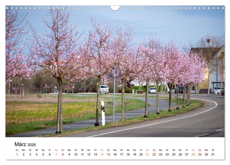 Produktbild: Die Hufeisengemeinde Br&uuml;hl (Wandkalender 2026 DIN A3 quer), CALVENDO Monatskalender