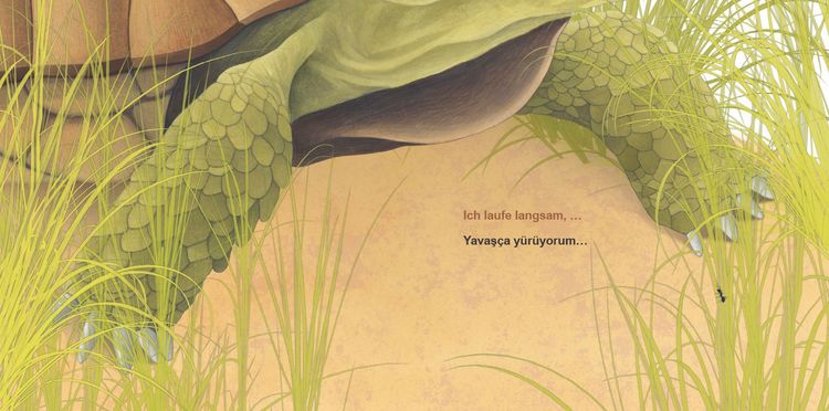 Produktbild: Sehr, sehr langsam! (Deutsch-T&uuml;rkisch)