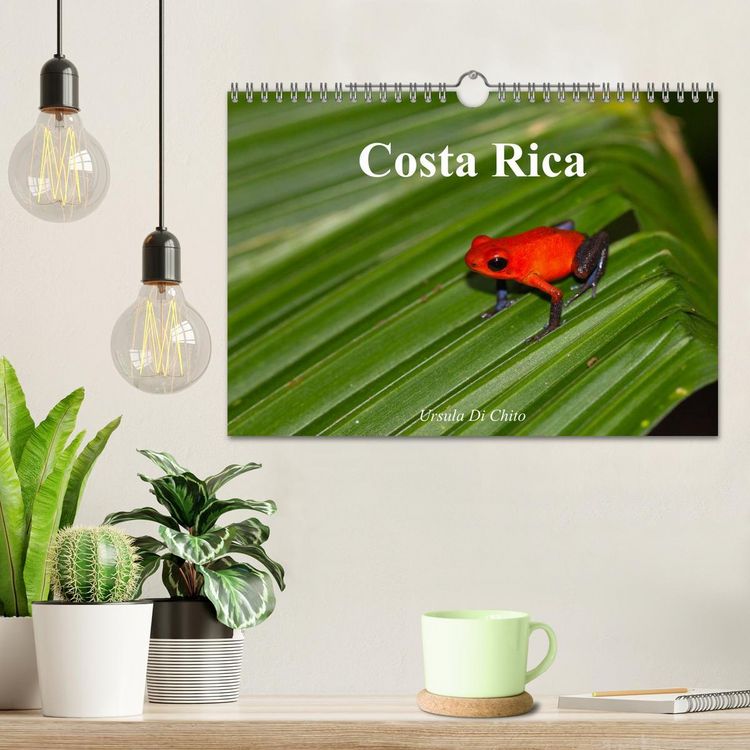 Produktbild: Costa Rica (Wandkalender 2026 DIN A4 quer), CALVENDO Monatskalender