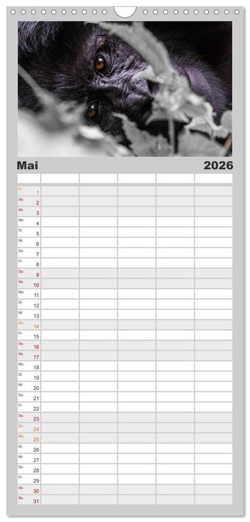 Produktbild: Familienplaner 2026 - Gorillas ohne Nebel mit 5 Spalten (Wandkalender, 21 x 45 cm) CALVENDO