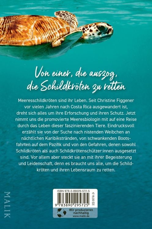 Produktbild: Meine Reise mit den Meeresschildkröten