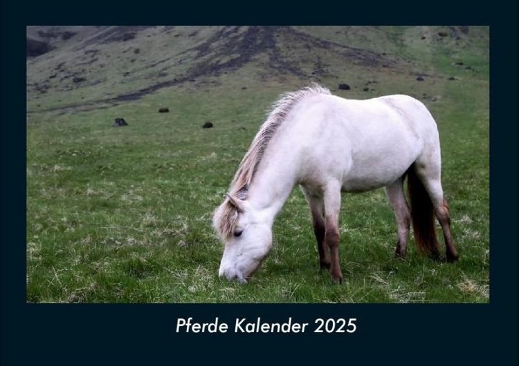 Produktbild: Pferde Kalender 2025 Fotokalender DIN A4