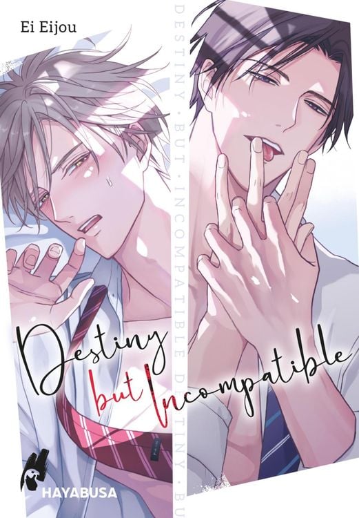 Produktbild: Destiny but Incompatible 1