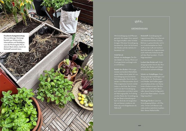 Produktbild: Selbstversorgung aus dem Balkon-Hochbeet