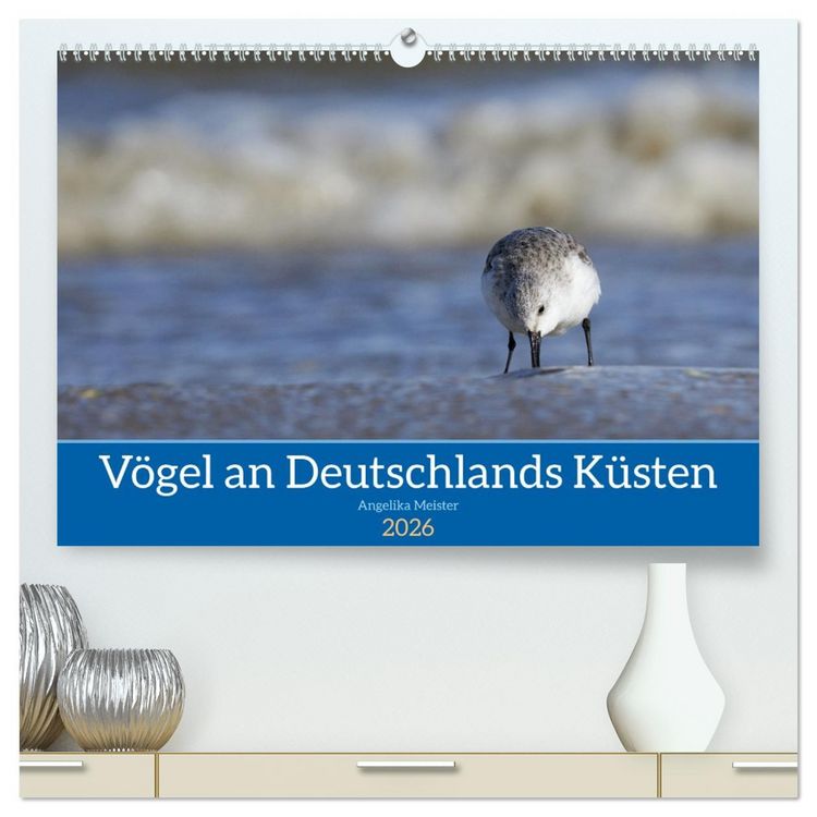 Produktbild: V&ouml;gel an Deutschlands K&uuml;sten (hochwertiger Premium Wandkalender 2026 DIN A2 quer), Kunstdruck in Hochglanz