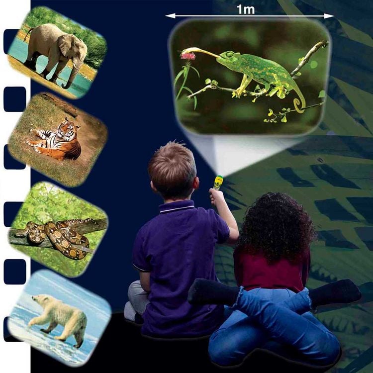 Produktbild: Taschenlampenprojektor - Diashow Wilde Tiere