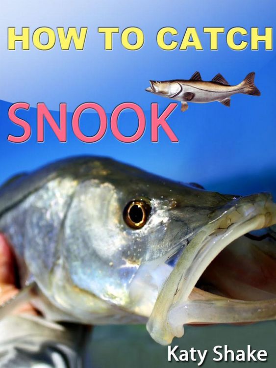 Produktbild: How To Catch Snook