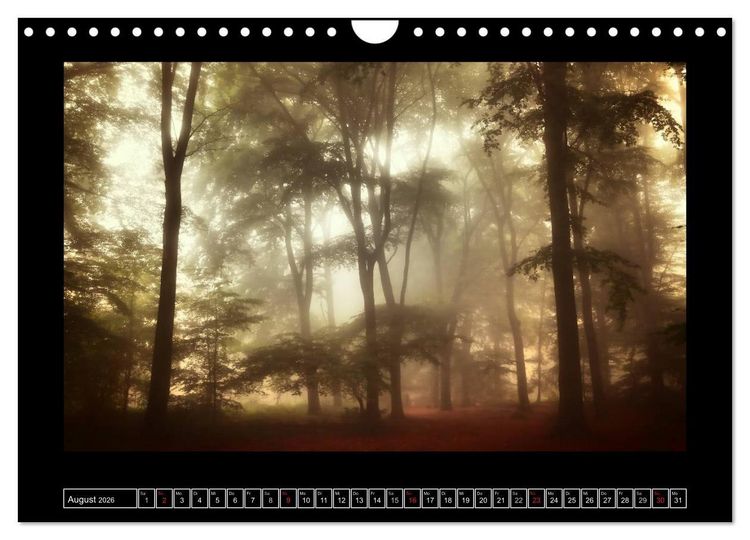 Produktbild: Der Reichswald bei Kleve (Wandkalender 2026 DIN A4 quer), CALVENDO Monatskalender