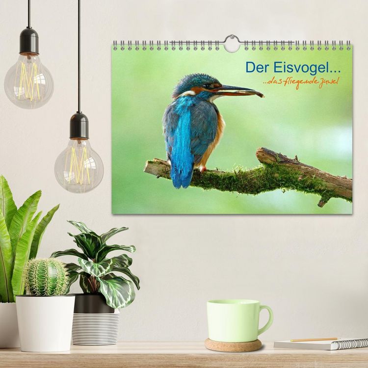 Produktbild: Der Eisvogel...fliegendes Juwel (Wandkalender 2026 DIN A4 quer), CALVENDO Monatskalender
