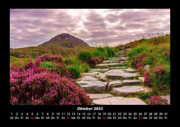 Produktbild: Pflanzen und Bl&uuml;ten 2025 Fotokalender DIN A3