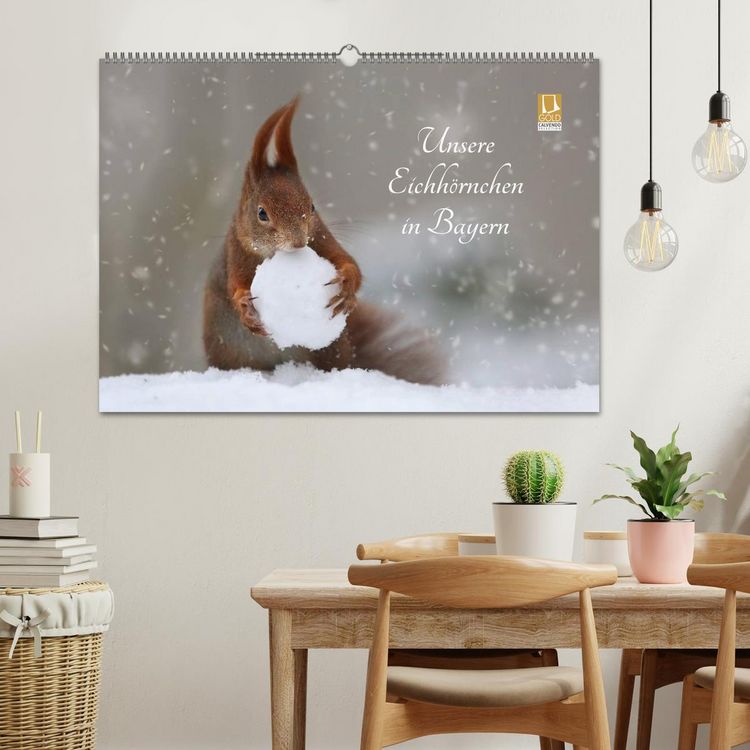 Produktbild: Unsere Eichh&ouml;rnchen in Bayern (Wandkalender 2026 DIN A2 quer), CALVENDO Monatskalender