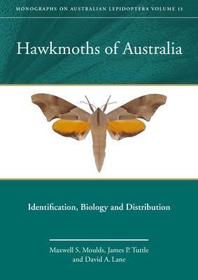 Produktbild: Hawkmoths of Australia