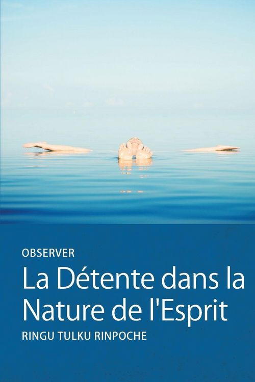 Produktbild: Observer La D&eacute;tente dans la Nature de l'Esprit