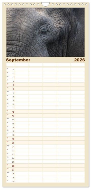 Produktbild: Familienplaner 2026 - begegnungen - elefanten im s&uuml;dlichen afrika mit 5 Spalten (Wandkalender, 21 x 45 cm) CALVENDO