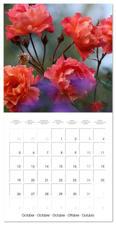 Produktbild: LE PARFUM ENVO&Ucirc;TANT DES ROSES (Calendrier mural carr&eacute; 2026 30x30 cm) Calendrier double avec une page pour vos prises de notes