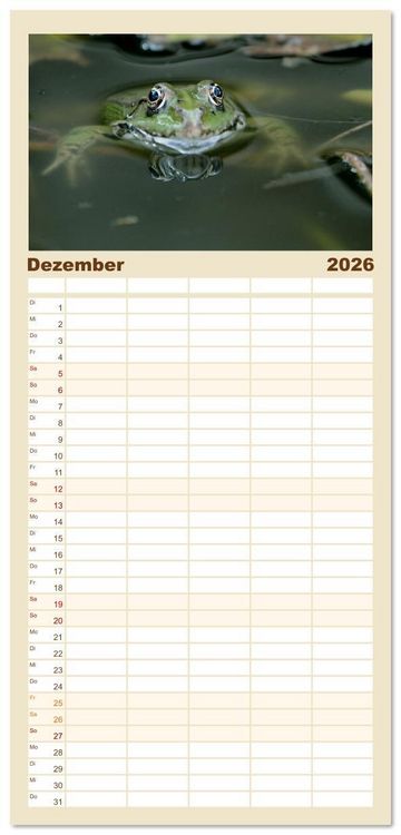 Produktbild: Familienplaner 2026 - Frosch Karl, Hans und Max im Einklang der Natur mit 5 Spalten (Wandkalender, 21 x 45 cm) CALVENDO