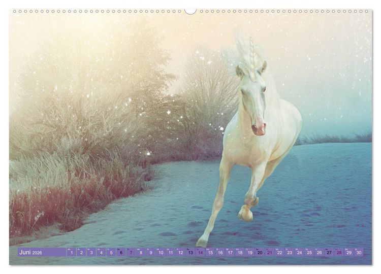 Produktbild: Einhorn Welt - vertr&auml;umte Einhornbilder (hochwertiger Premium Wandkalender 2026 DIN A2 quer), Kunstdruck in Hochglanz