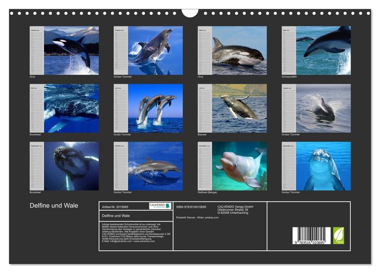 Produktbild: Delfine und Wale (Wandkalender 2026 DIN A3 quer), CALVENDO Monatskalender