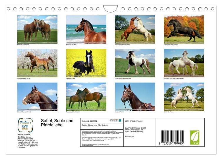 Produktbild: Sattel, Seele und Pferdeliebe (Wandkalender 2027 DIN A4 quer), CALVENDO Monatskalender