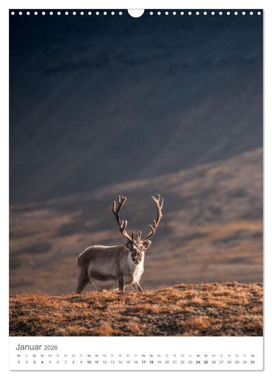 Produktbild: Die Arktis - Naturfotografien aus Spitzbergen (Wandkalender 2026 DIN A3 hoch), CALVENDO Monatskalender