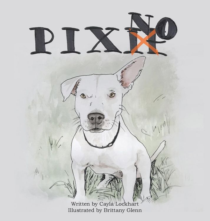 Produktbild: Pixno!