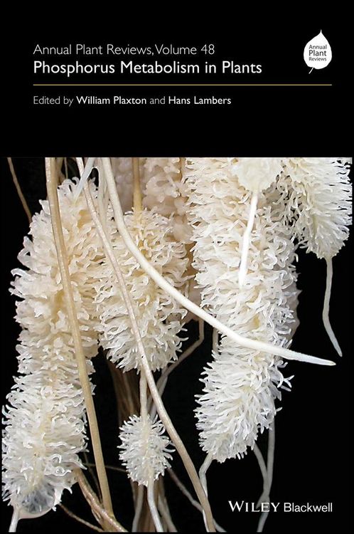 Produktbild: Annual Plant Reviews, Phosphorus Metabolism in Plants