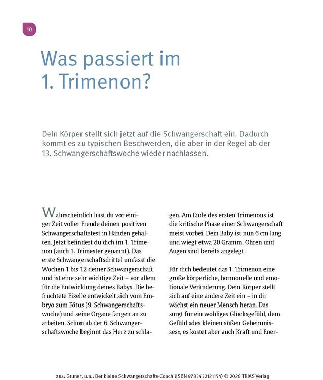 Produktbild: Der kleine Schwangerschafts-Coach