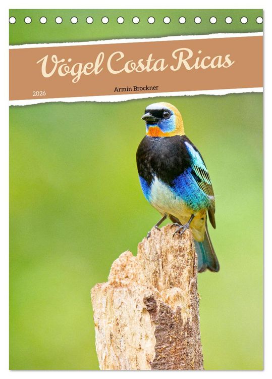 Produktbild: V&ouml;gel Costa Ricas (Tischkalender 2026 DIN A5 hoch), CALVENDO Monatskalender
