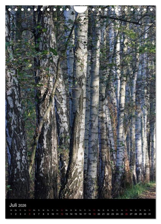 Produktbild: Wunderbarer Spreewald (Wandkalender 2026 DIN A4 hoch), CALVENDO Monatskalender